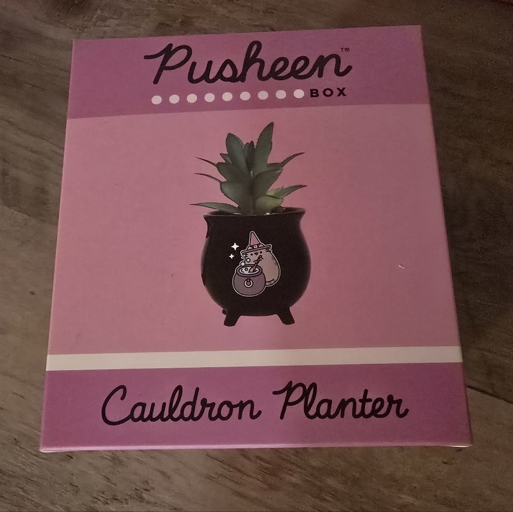 More PUSHEEN Items! - Picture 13 of 16